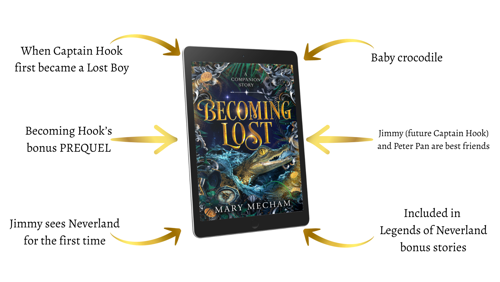 Book cover of 'Becoming Lost' by Mary Meacham with text describing the book's plot and significance.