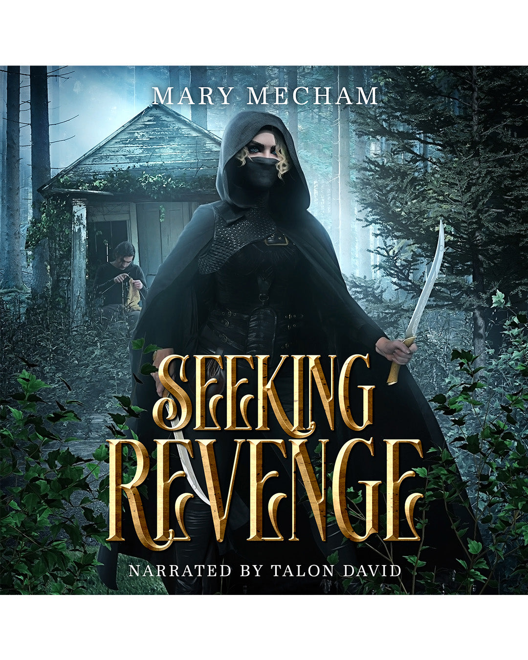 audiobook cover for Seeking Revenge by Mary Mecham